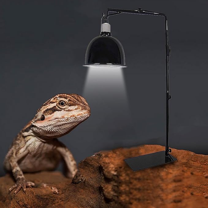 Reptile Light Fixture Holder - Reptile Heat Lamp Stand, Heat Lamp Holder | Desk Light Stand for Use with Reptiles Illumination Device Fixtures and Terrariums, Reptiles, Amphibians, Small Animals
