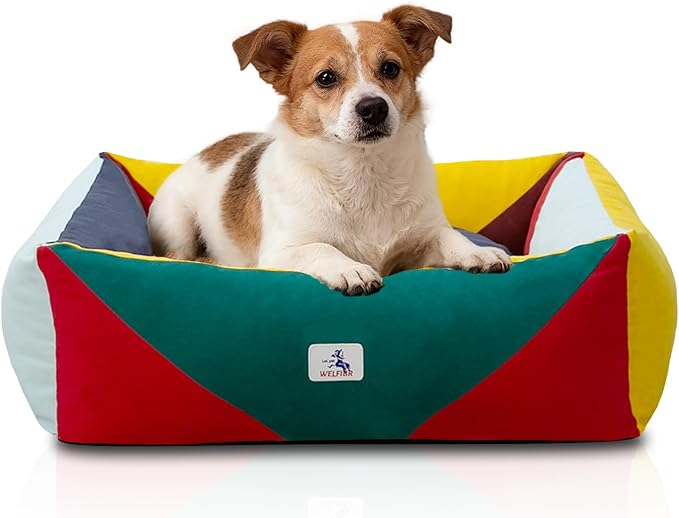 290 GSM Cotton Canvas Dog Couch Bed, Washable Removable Cover, Tough Bolster with Supportive Chopped Foam, Anti-Slip Bottom (Medium)