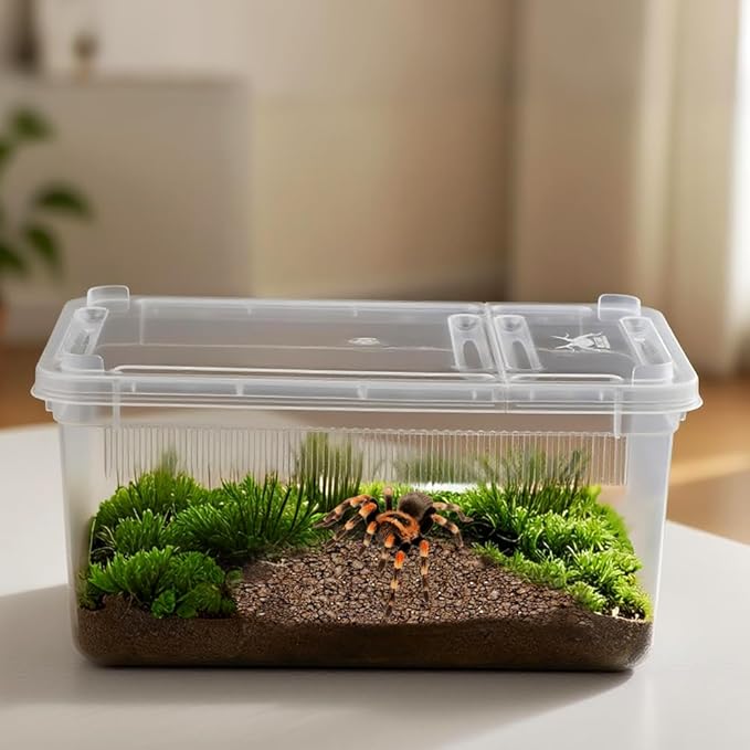 5 Pack Small Reptile Terrarium Breeding Box Transparent Hatching Container Plastic Feeding Box for Gecko Frog Spider Scorpion Centipede Insect