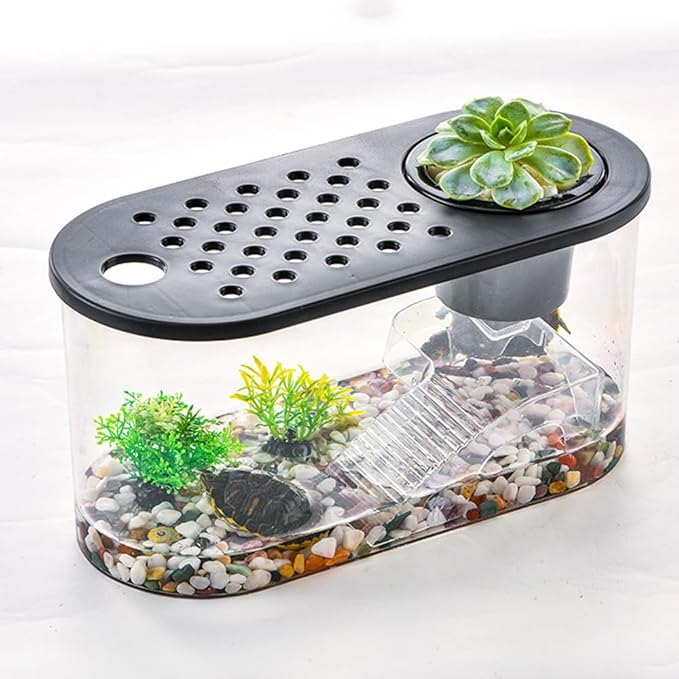 Small Turtle Tank Kit, Reptile Aquarium with Basking Platform, Decor Stones & Water Grass – Habitat for Turtles, Hermit Crabs, Fish – Ideal for Home or Office (12" x 6" x 12")