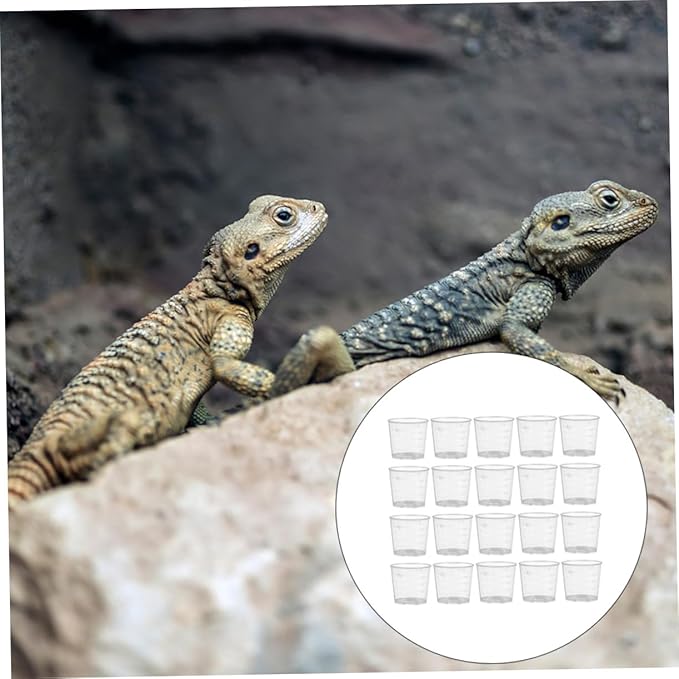 Abaodam 30Pcs Reusable Measuring Cups for Reptiles Feeding Dish for Lizard Gecko Snake Safe Food Water Containers for Pets for Daily Feeding Control