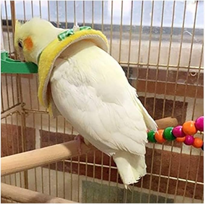 4 Pcs Bird Cone Collar Pet Anti-bite Elizabethan Collar Parrot Recovery Protective Cones for Budgerigar Cockatiel Lovebirds Cockatoo Parrots African Grey Macaw (XL)