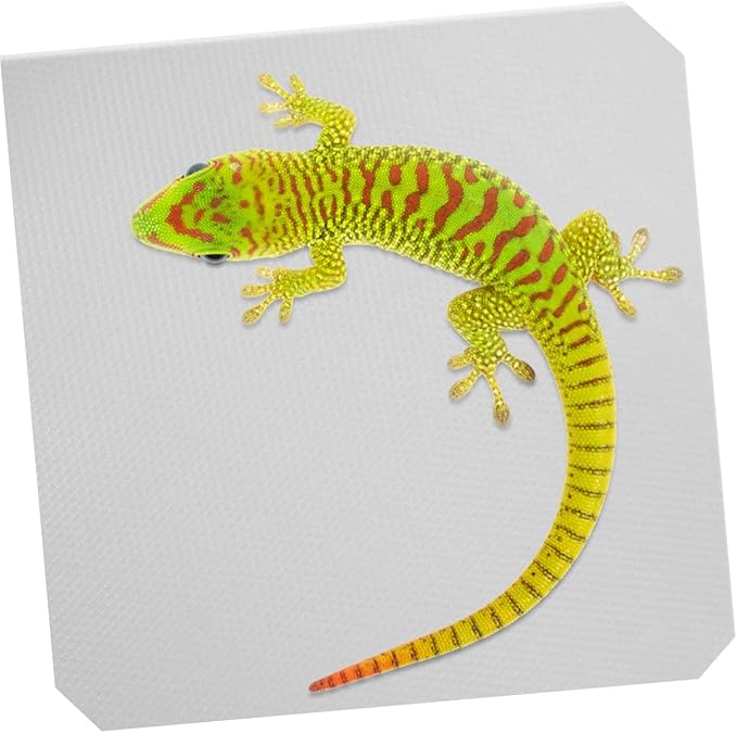 Leopard Gecko Accessories Terrarium Carpet Soft Reptile Substrate Mat for Reptile Tank Bedding