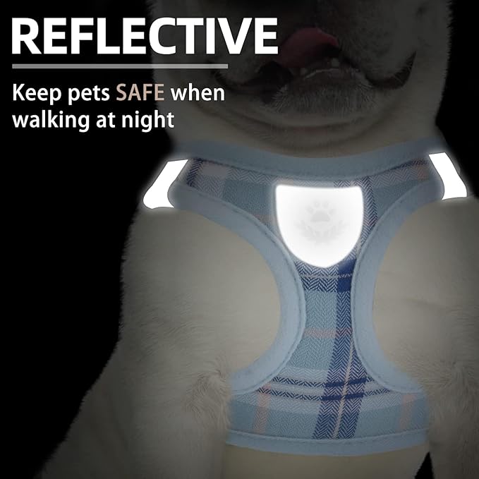 PUPTECK Adjustable Dog Harness Collar and Leash Set Step in No Pull Pet Harness for Small Medium Dogs Puppy and Cats Outdoor Walking Running, Soft Mesh Padded Reflective Vest Harnesses, Blue XL
