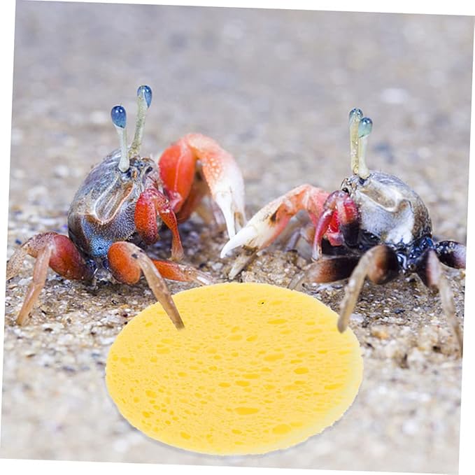 Happyyami 50pcs Crab Humidity Sponges for Pet Habitat Nutrients Providing Water-Absorbing Sponges Moisture Retaining Sea Creature Supplies for Crab Tanks and Terrariums