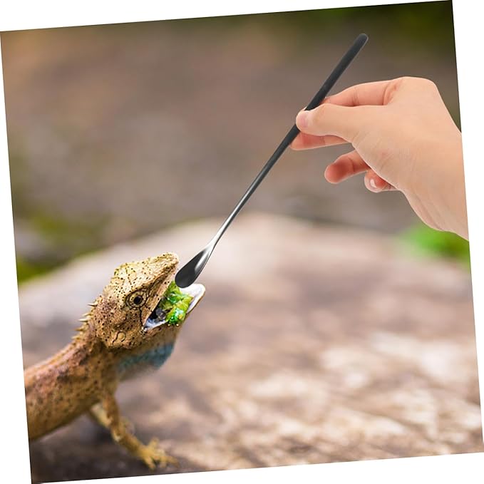 POPETPOP 3pcs Reptile Accessories Small Animal Feeding Spoon Pet Food Holder Spoon for Gecko Lizards