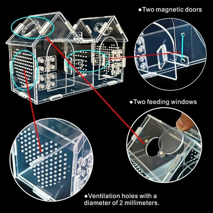 Jumping Spider Enclosure, Dual Magnetic Doors & Observation-Feeding Windows, Acrylic Reptile Habitat Kit, Pet Terrarium for Spiders, Tarantulas, Snails, Lizards & Small Reptiles (9.6×4.2×5.8 inches)