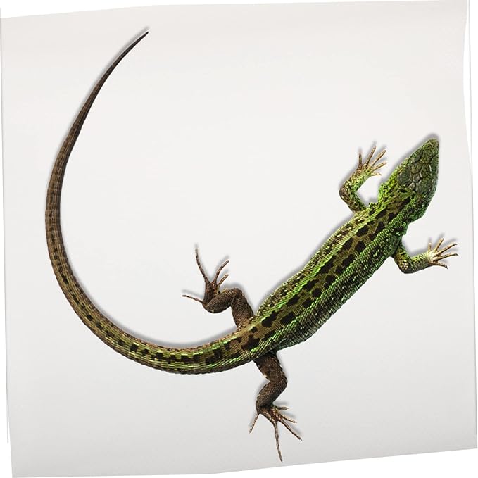 Milisten Reptile Carpet for Bearded Dragon Leopard Gecko Snake and Tortoise Soft Non-Absorbent Substrate Mat for Terrarium Safe and Comfortable Bedding Accessory