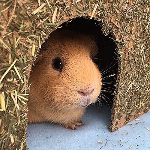 Rosewood Naturals Carrot Cottage Rabbit House, Large