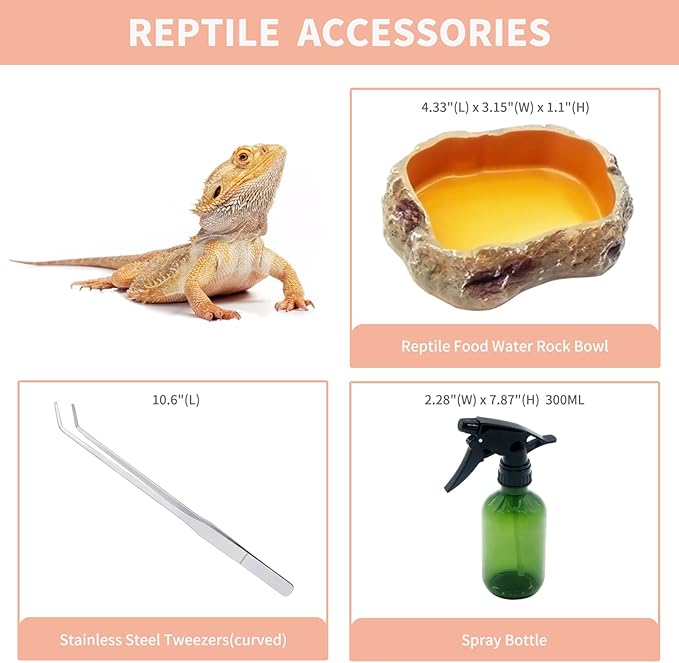 Reptileg Growth Reptile PC Terrarium, 8''x 8''x 11'' with Top Sliding Door Screen Ventilation Tarantula Enclosure for Snake, Frog,Insect,Tarantula,Hermit Crab，Spider,Iguana,Tortoise,Bearded Dragon