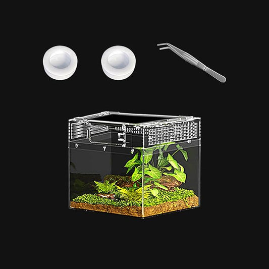 Reptile Mini PC Terrarium Amphibian Tank, 8"x8"x6"Jumping Spider Enclosure Multi-Habitat Reptile Terrarium for Tarantula, Hermit Crab, Insect, Fish, Frog, Small Bearded Dragon, Lizard