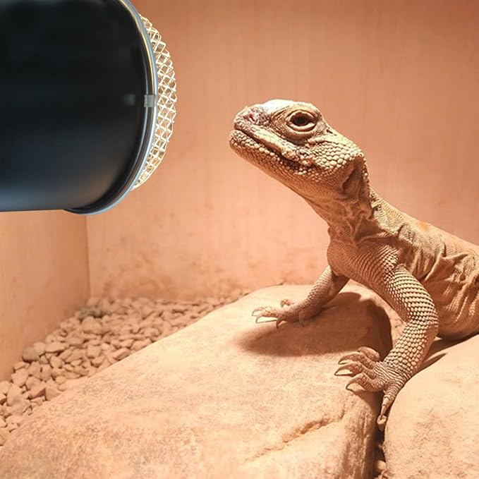 ibasenice Reptile Heat Lamp Cover 5.51-Inch Stainless Steel Anti-Scald Lampshade for Reptile Box Insulation Protects Pets from Burns