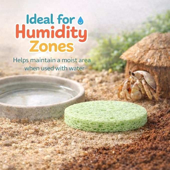 Green Sponge Accessories for Hermit Crab Habitat, Moisture Supply for Maintaining Tank Humidity, 10PCS