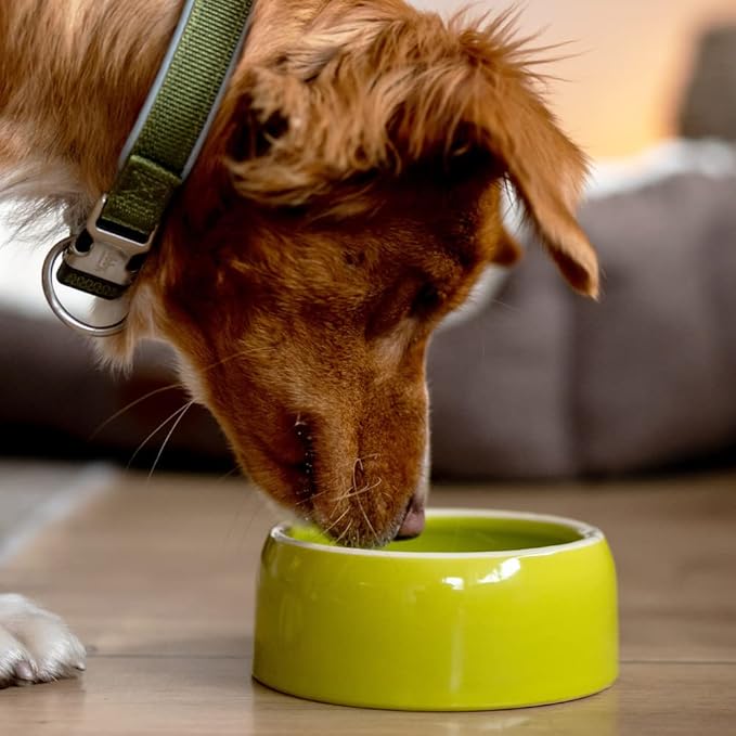 Nobby Ceramic Feeding Trough, 500 ml, Green
