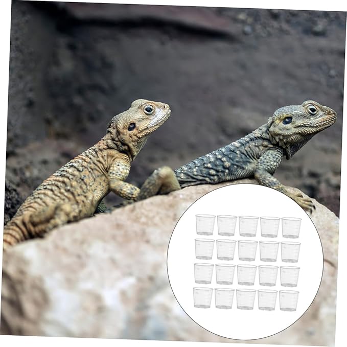 Abaodam Compact Reptile Feeder Cups 30 Piece Set 20ml Measuring Cups Durable Easy to Use for Daily Feeding