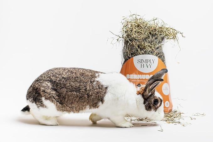 Bermuda Hay – High-Fiber, Low-Calcium Coastal Grass for Rabbits, Guinea Pigs & Small Pets – All-Natural, Hand-Packed, Timothy-Allergy Friendly (24 oz)
