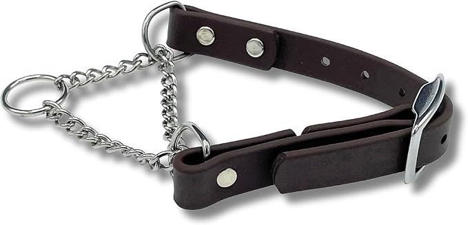 Martingale Collar for Dogs, Biothane, Stainless Steel Hardware, No Pull, Made in The USA, Professional Grade, Medium, Brown