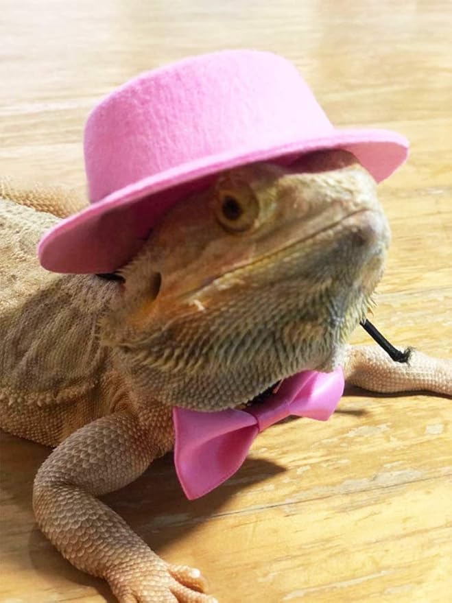 Valentine's Day Bearded Dragon Lizard Leash Harness Hat Bowtie Set - Valentine's Day Hat + Bowtie + 3 Pack Harness Leash for Bearded Dragon Iguana Amphibians Gift Small Animal Clothes Outfit(Pink Set)