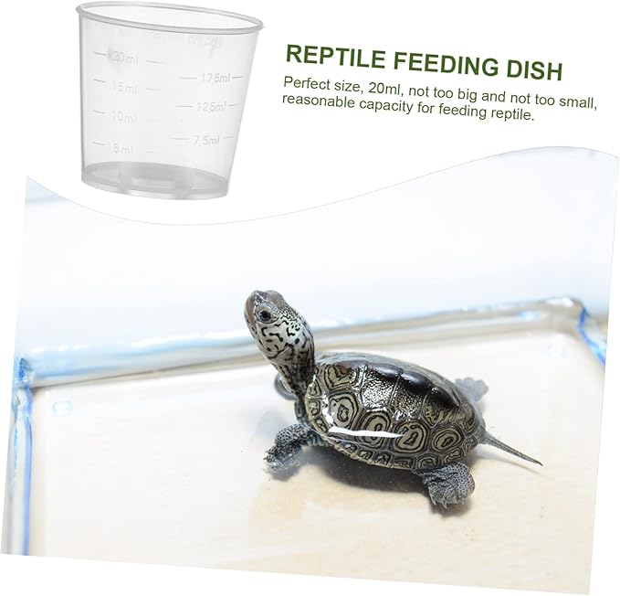 DECHOUS 20Pcs Reptile Food Measuring Cups for Lizard and Gecko Feeding Accurate Water and Food Containers for Pets Convenient Daily Use