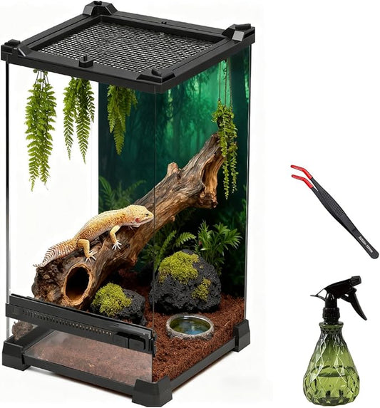 Reptile Tall Glass Terrarium Rainforest Habitat Single Door with Screen Ventilation,Small Reptile Terrarium for Spiders, Tarantulas, Snail, Mantis, Lizard (10 * 10 * 13.8 inch)
