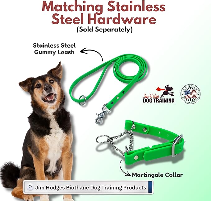 Martingale Collar for Dogs, Biothane, Stainless Steel Hardware, No Pull, Made in The USA, Professional Grade, Large, Green
