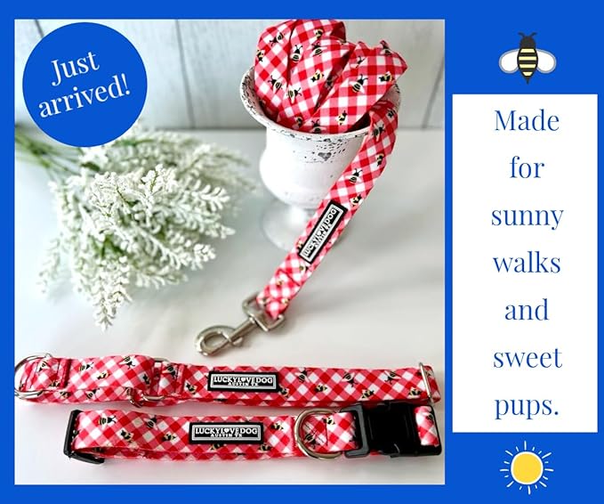 Lucky Love Dog - Easy Click Buckle Dog Collar with Leash Set Combo, Durable & Comfortable for Male & Female Dogs, Pet Collar for Large Dogs, Secure Fit - Bailey Combo, Large