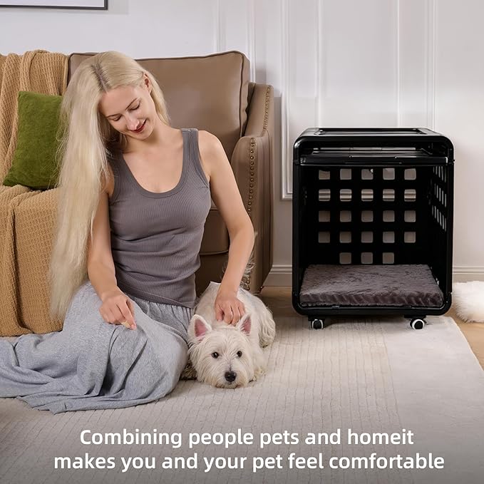 Acrylic Transparent Dog Crate for Large Dogs, Dog Box with Movable Panel, Modular Design-Safe Durable Dog Bed Fashionable & Convenient Black, Semi-Transparent(26.2" L x 20" W x 23.4" H)