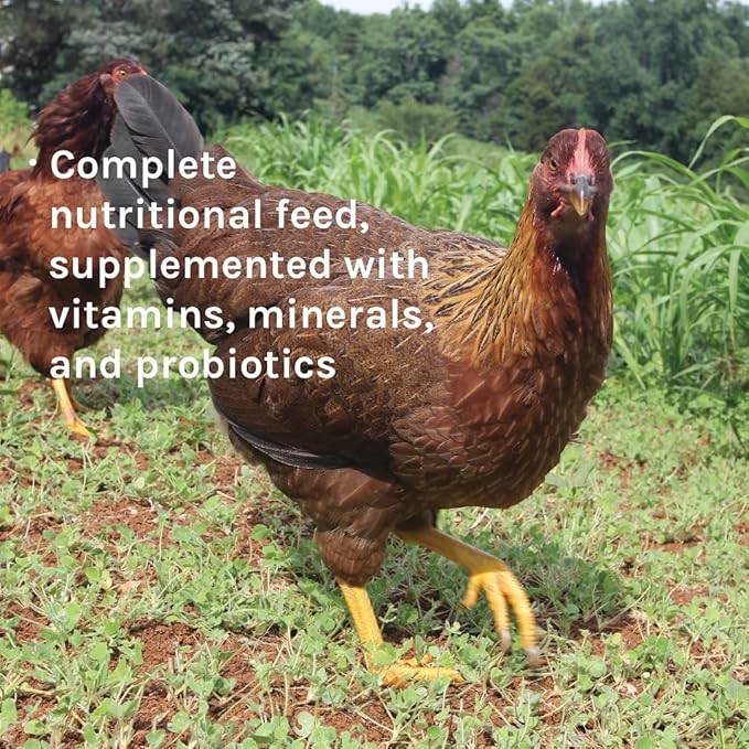 New Country Organics | Wheat-Free Chicken Feed 25lbs | Layer Feed for Laying Hens | Gluten-Free and Soy-Free | 17% Protein | Certified Organic and Non-GMO Chicken Food | 25 lbs Bag