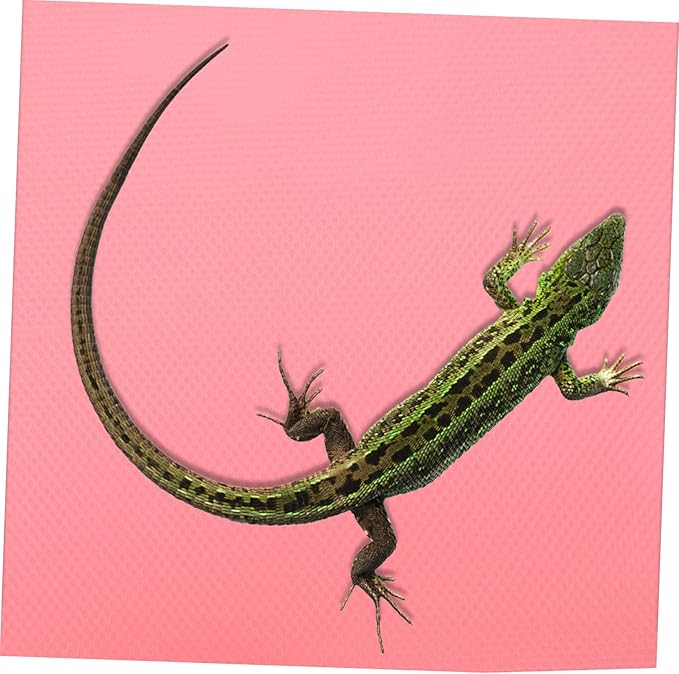 UKCOCO Bearded Dragon Terrarium Carpet Reptile Tank Mat Snake Cage Bedding for Enclosure