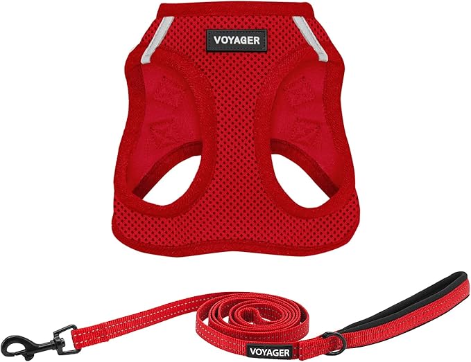 Best Pet Supplies Voyager Step-in Air All Weather Mesh Harness and Reflective Dog 5ft Leash Combo with Neoprene Handle, for Small, Medium and Large Breed Puppies - Set (Red), Small