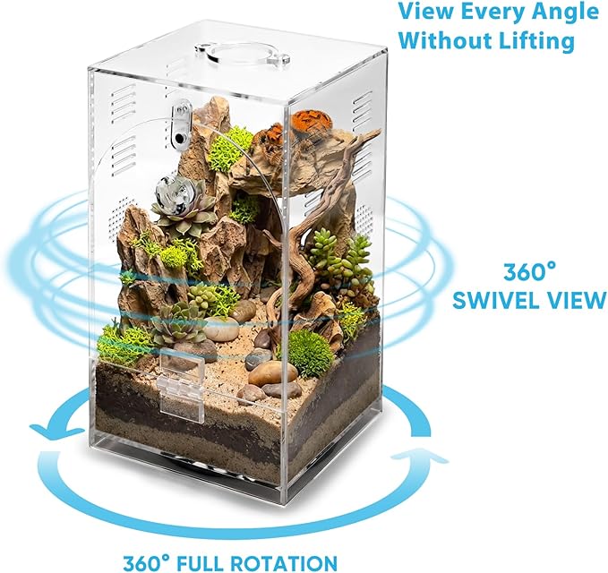 Acrylic Jumping Spiders Enclosure 360 Rotating 4.3" x 4.3" x 7.5" Praying Mantis Habitat