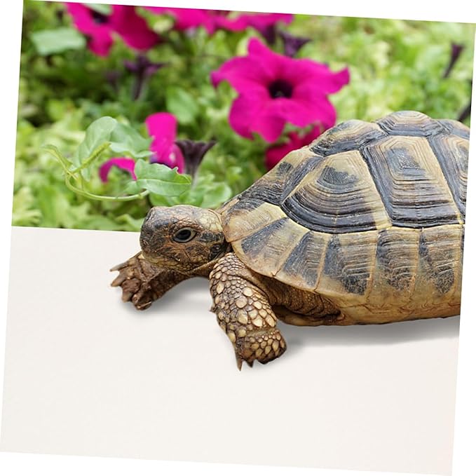 Toddmomy Reptile Carpet Mat for Terrarium Eva Substrate Bedding for Bearded Dragons Turtles Lizards and Geckos Easy to Clean Non- Reptile Cage Accessories