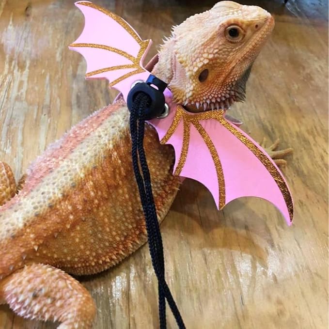3 Size Pack Bearded Dragon Leashes and Harnesses, Bearded Dragon Harness, Soft Leather Detachable Adjustable Reptile Lizard Wing Leash (Pink)