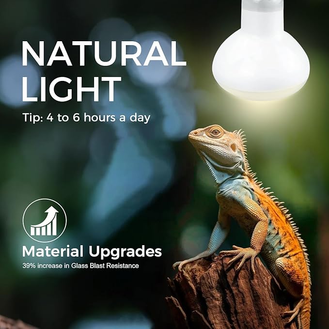 Infrared Reptile Heat Bulb Lamp 75W, 2-in-1 Day & Night Combo, Infrared Heat Lamp & UVA Sunlight Heating Lamp for Reptile Terrariums