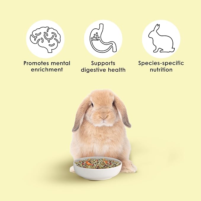Kaytee Food from The Wild Natural Pet Rabbit Food,4 Pound,(Pack of 2)