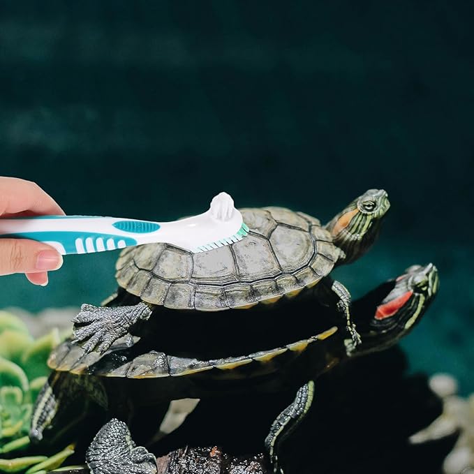 minkissy 2pcs Double-Sided Small Turtle Shell Cleaning Brush Multi-Functional Aquatic Tortoise Mud Remover for Household Reptile Health Maintenance