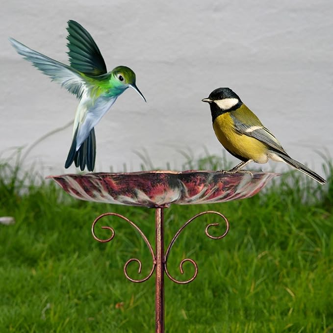 Bird Bath Feeder Bowl Birdfeeder Sturdy Iron Heavy Duty Detachable Easy to