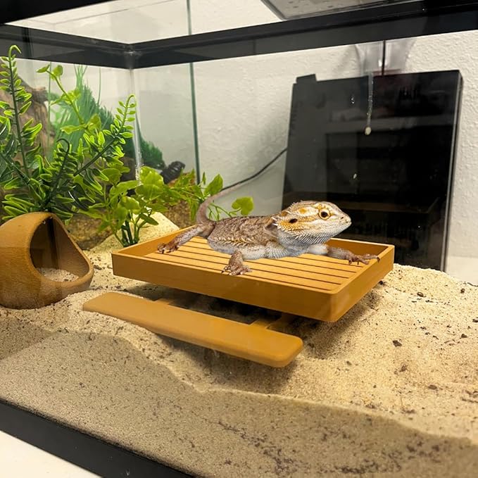 REEFSHAPE Terrarium Picnic Table for Bearded Dragons, Lizards, Geckos, and More! | Platform Accessory for Terrarium Habitats | Made in USA (Tan)