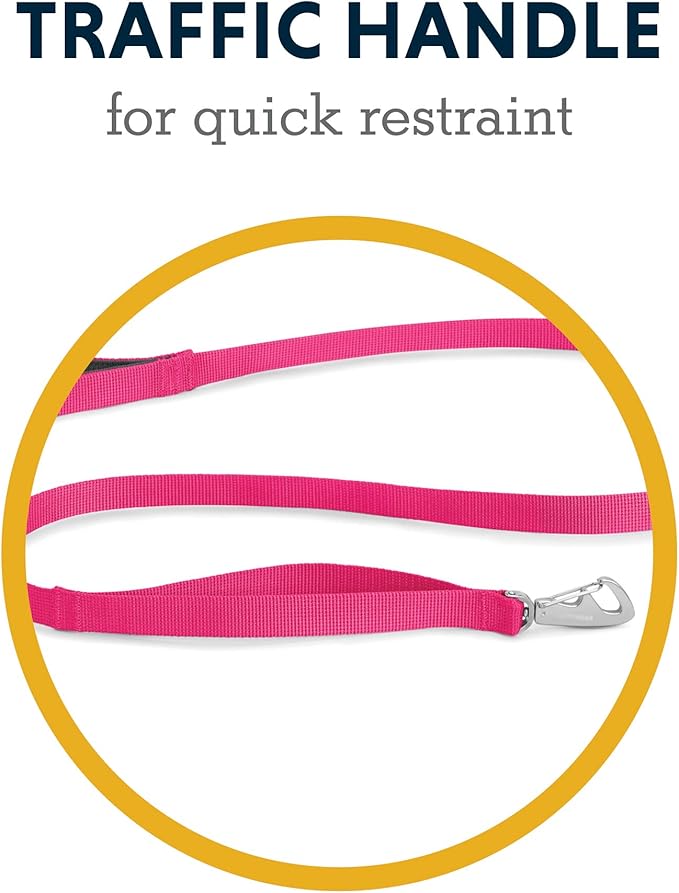 Ruffwear, Front Range Dog Leash, 5 ft Lead with Padded Handle for Everyday Walking, Reef Fish