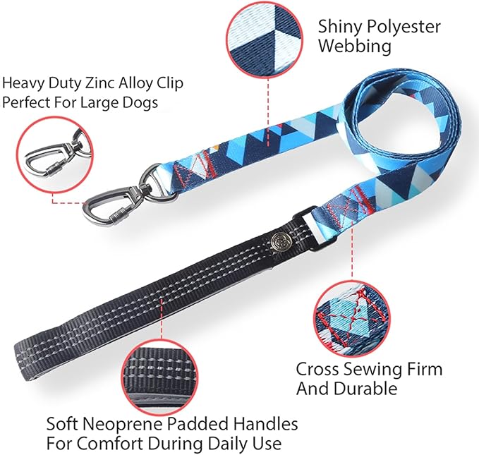 Everking Dog Leash and Collar Set with Metal Buckle,Suitable for Large Dogs Weighing 21-40kg, Memphis Geometric Pattern Design Style, Flexible Webbing, Nylon Handle, Adjustable (Blueberries, L)
