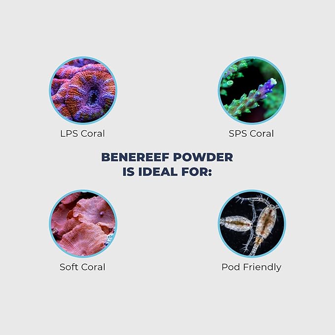 Benepets BeneReef Powder Complete Reef Nutrition - Optimize Coral Growth, Color & Regeneration, Max Nutrient Absorption, Prebiotics & Probiotics, Coral & Fish Food - 40 Grams