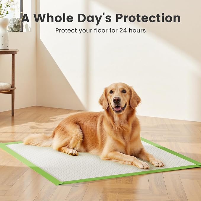 Gardner Pet Dog Pee Pads Extra Large 28"x34", XL Thicker ECO Green Disposable Puppy Training Pads Super Absorbent Full Edge-Wrapping Pad for Dogs, Puppies, Cats, Rabbits (90 Count)
