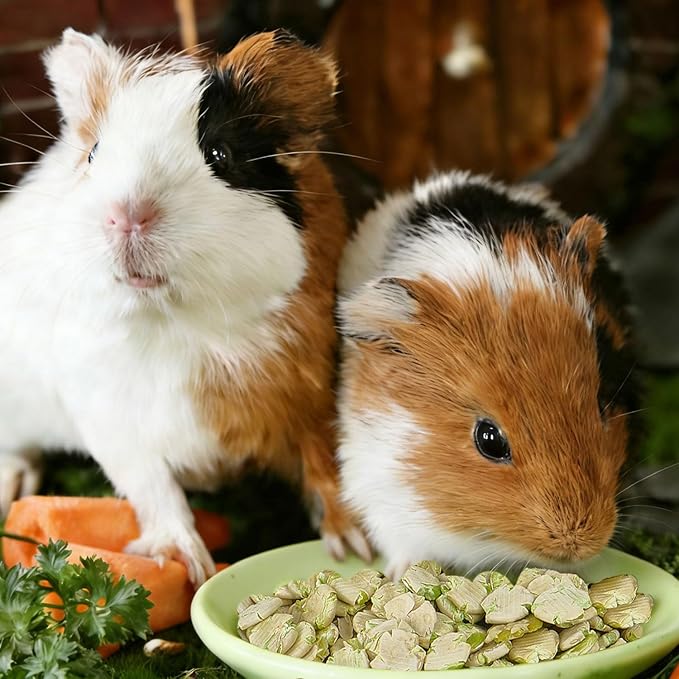 Accretion Pea Flakes for Guinea Pig, 1.5 Pounds Natural Herbivore Snack, High Fiber Vitamin-Rich Treat for Rabbits, Hamsters, Chinchillas and Other Herbivorous Small Pets