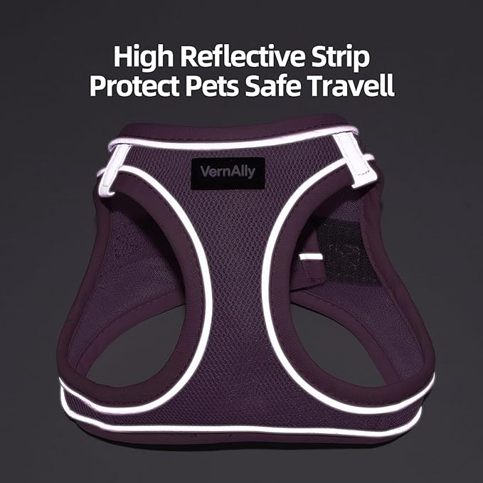 Sparkly Dog Harness Small Sized and Leash Set for Small Dogs Cats,Blue XXS Puppy Harness, Step in Soft Dog Reflective Vest, Breathable Mesh Pet Harness. (Blue, XXS)