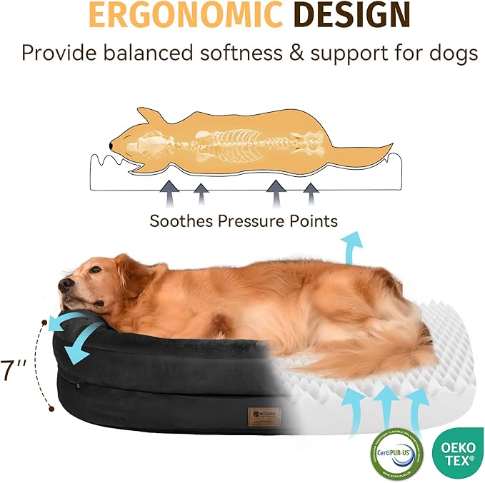 Orthopedic Dog Bed for Medium Dogs, Waterproof Dog Bed with Removable Bolsters, Egg Crate Foam Pet Couch for Medium Size Dog with Machine Washable Cover & Non-Slip Bottom, Black