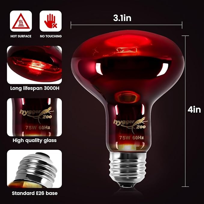 75W Infrared Heat Lamp Bulbs – 2-Pack Red IR Basking Light for Reptile & Amphibian, Silent Night-Time Heating, E26 Base, Bearded Dragon,Lizard,Turtle,Chicken