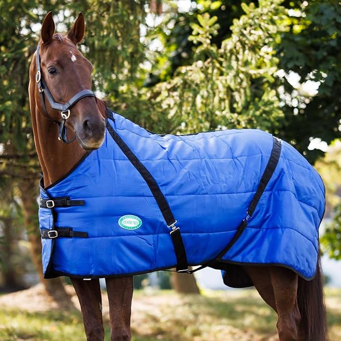 Country Pride Sentinel Channel Quilt Horse Stable Blanket, Midweight Open Front, 420D Nylon Outer Shell, 250g Poly-Fill Insulation, Wither Protection, Adjustable Leg Straps, Bias Surcingle (76,Blue)