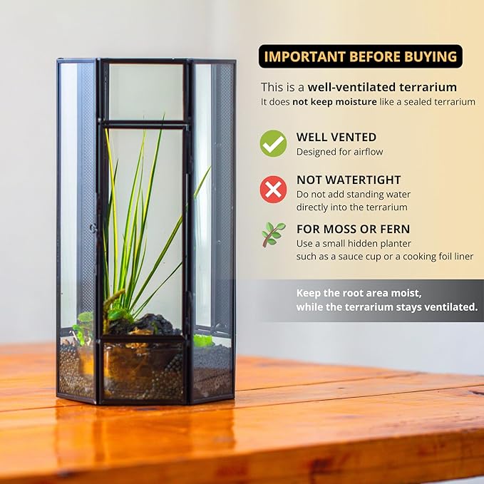 NCYP Small Glass Enclosure Terrarium with Mesh and Door for Spiders - Hexagon Shape Small Mantis Vented Glass Terrarium 4.9'' x 4.3'' x 9.4'', Tabletop Decor, Black (Plants Not Include)