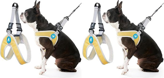 Gooby Simple Step in III Harness - Yellow, Large - Small Dog Harness with Scratch Resistant Outer Vest - Soft Inner Mesh Harness for Small, Medium Dogs (Pack of 2)