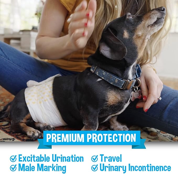 Bodhi Dog Disposable Male Dog Diapers - Super Absorbent, Leak-Proof Pee Wraps - Adjustable Fit, Comfortable Design, Advanced Moisture Control, and Wetness Indicator - Medium (20 Count)